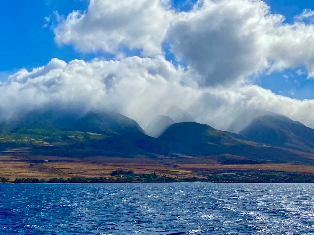 Aloha ‘Aina