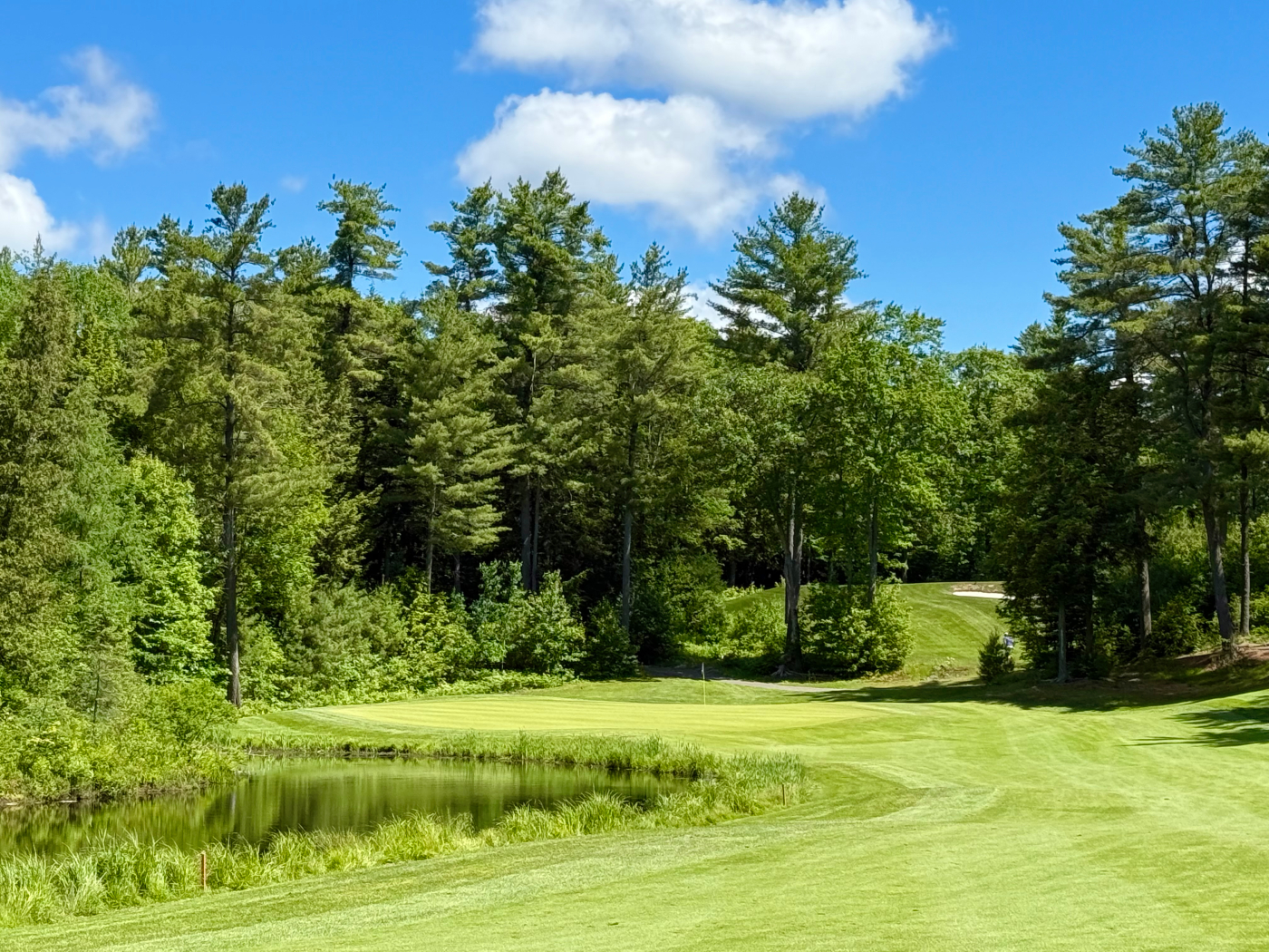 The approach to the 12th green