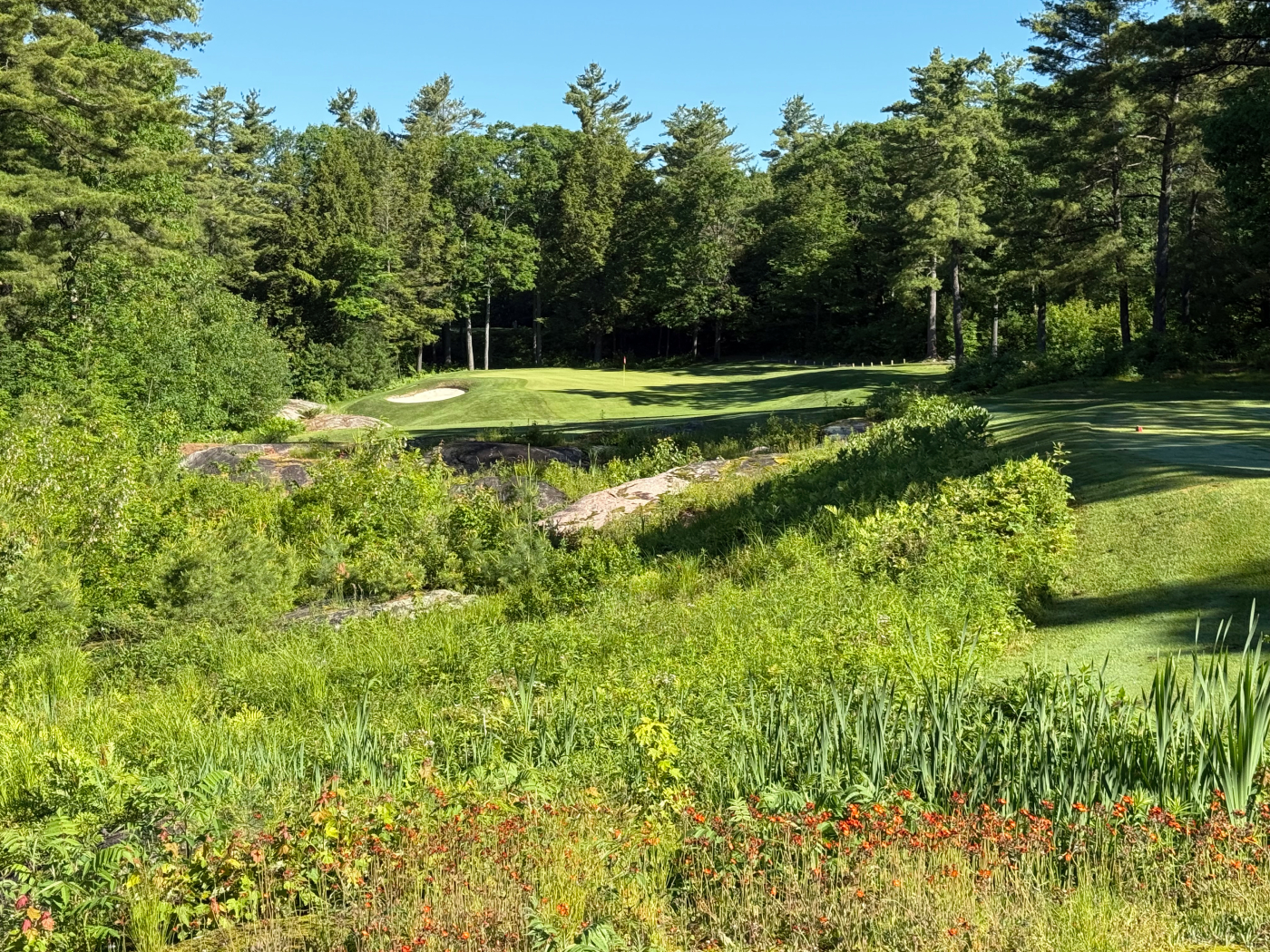 The natural beauty of Rocky Crest